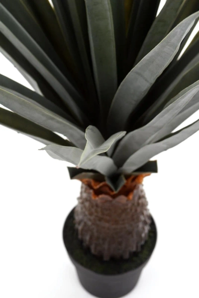 Sztuczna Agawa angustifolia 140 cm UV