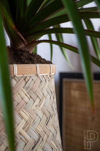 Nala XL 63/41 duża donica z bambusa i cementu