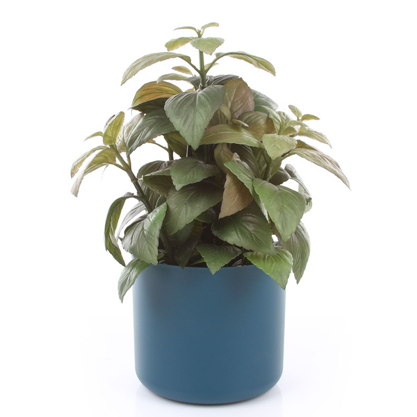 ONO 11/10 osłonka cylindryczna niebieska ocean