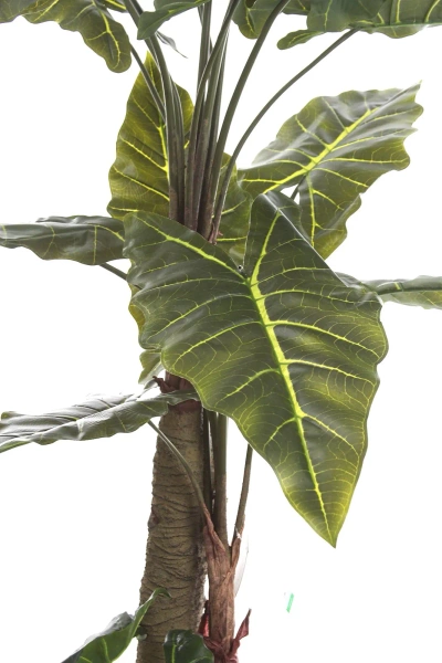 Sztuczna Alokazja drzewko 180 cm 22 liście gruby pień