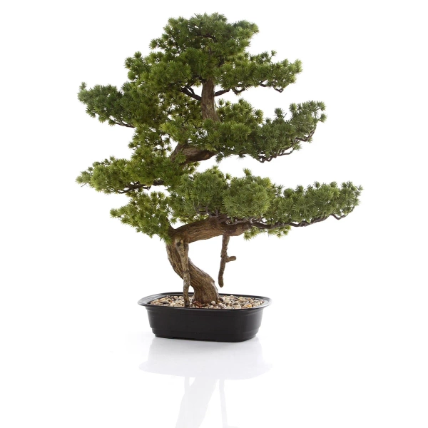 Sztuczny Bonsai Pinia Sosna 68 cm w czarnej doniczce