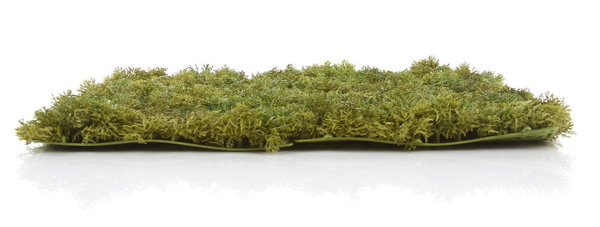 Sztuczna zielona ściana mata mech Islandzki 50x50 trudnopalna FR UV