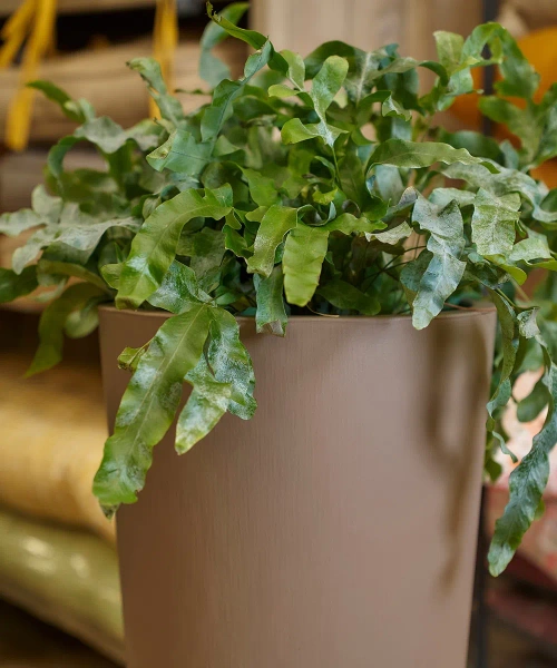 Tuit Raw 40/75 donica wysoka z wkładem taupe