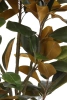 Sztuczna Magnolia Denudata 180 cm
