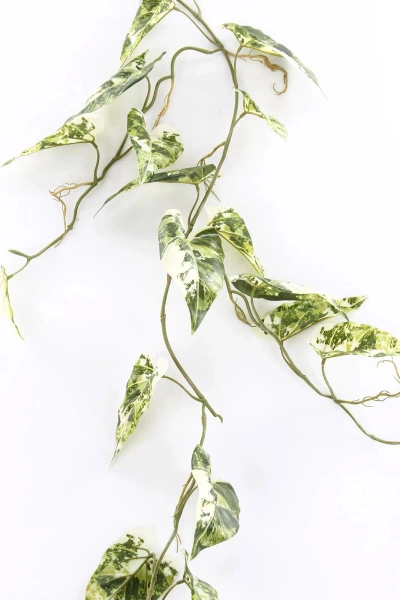 Sztuczny scindapsus tendril pstry pnącze biały 123 cm