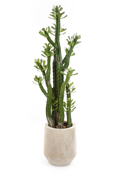 Sztuczny Kaktus Euphorbia Royleana 118 cm