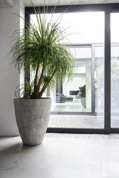 Oliver L 70/83 duża wysoka donica kamienna cesarska biel imperial white