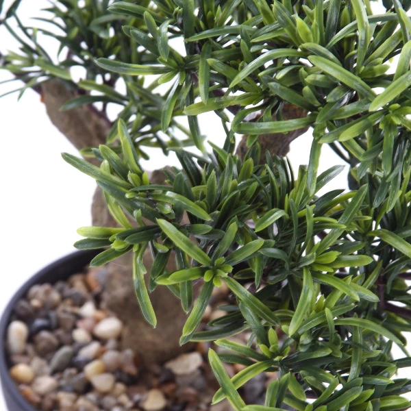 Sztuczny Bonsai Podocarpus 40x40 cm