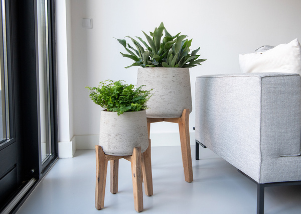 Feet High XL 52/51 wysokie drewniane nóżki pod donicę