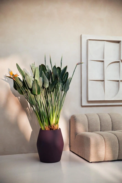 June Split High 46/53 wysoka osłonka śliwkowa vintage plum