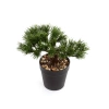 Sztuczny Bonsai Sosna Pinia 18 cm