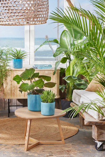 Ocean Round 22 osłonka Elho niebieski atlantyk