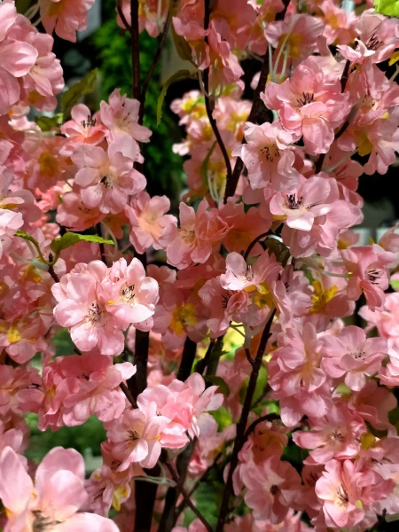 Sztuczna japońska Wiśnia wysoka 210 cm różowe kwiaty