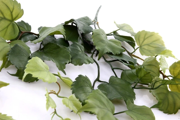 Sztuczna Topola pnącze 78 cm