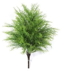 Sztuczny Asparagus 60 cm busz zielony