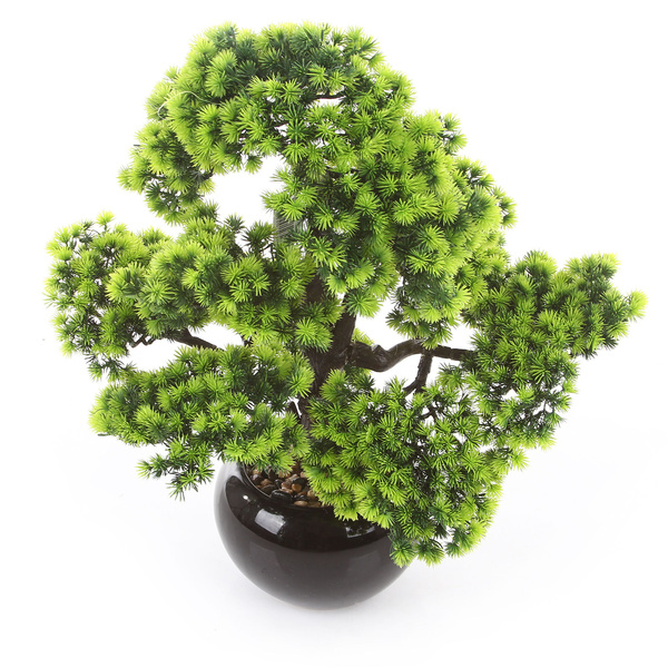 Sztuczne drzewko Bonsai Modrzew Larch 60x50 cm w ceramicznej doniczce