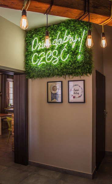 Sztuczna zielona ściana Mata Jałowiec Paproć Mix 50x50 UV wodoodporna