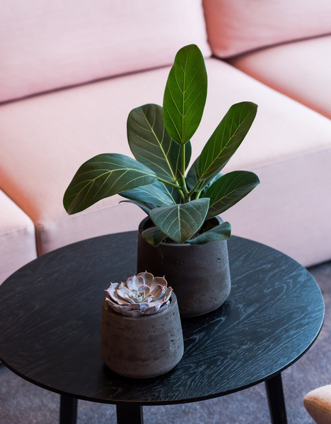 Patt L 20/16,5 doniczka okrągła kamienna czarna black washed