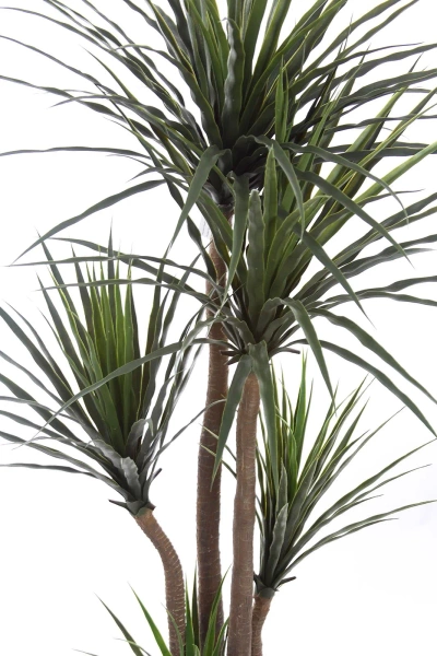 Sztuczna Dracena 160-170 cm