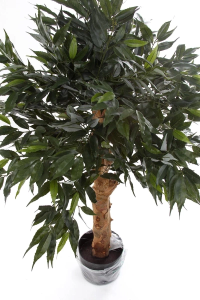 Sztuczny Bonsai Shirakashi 100 cm