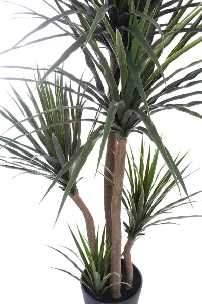 Sztuczna Dracena 160-170 cm