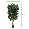 Sztuczny Fikus Audrey na drewnianych pniach 155 cm deluxe