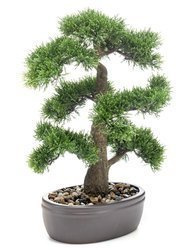 Sztuczne drzewko Bonsai Cedr 45 cm w brązowej doniczce