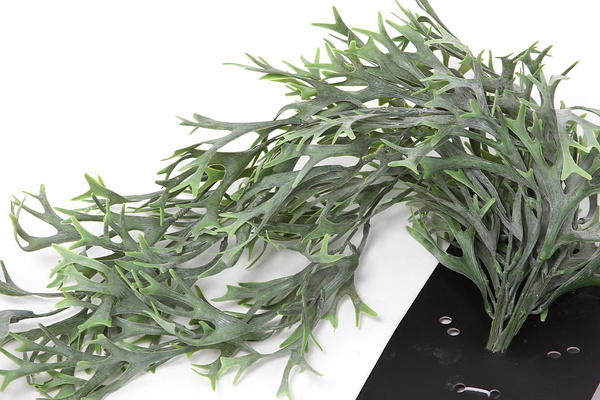 Sztuczna Citronella pnącze zielona 84 cm