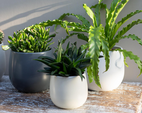 Vitoria 17/16 osłonka ceramiczna jasnoszara