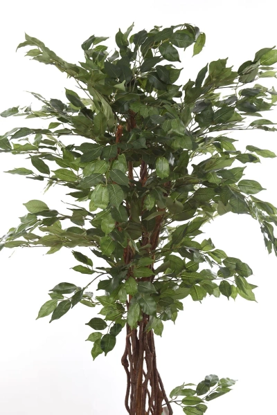 Sztuczny Fikus Liana 170 cm 1008 liści drewniane pnie
