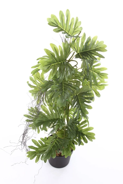 Sztuczny Filodendron na pniu 80 cm