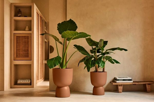 Amber Coupe Round 41/58 karmelowa nowoczesna donica piedestał