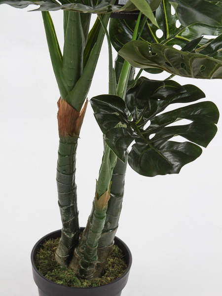 Sztuczna Monstera dziurawa deliciosa wysoka 195 cm d80 cm duże liście
