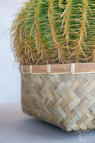 Nala Low XL 63/27 duża płaska donica z bambusa i cementu