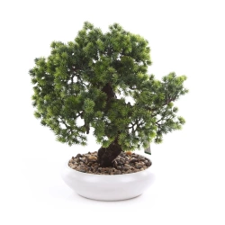 Sztuczny bonsai cryptomeria japonicai 37 cm w białej niskiej doniczce