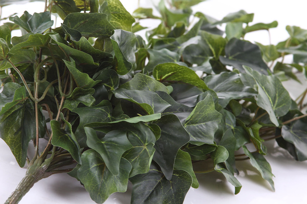 Sztuczny Bluszcz English wiszący pnącze 100 cm zielony