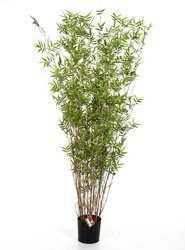 Sztuczny bambus Oriental 190 cm naturalne bambusowe łodygi 3240 liści