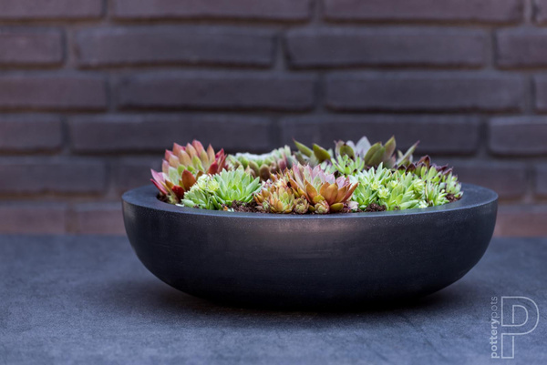 Monique M 34,5/10 czarna niska misa