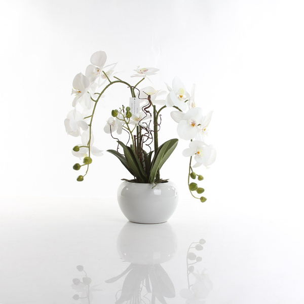 Sztuczny storczyk Phalenopsis 55 cm biały w białej ceramicznej doniczce