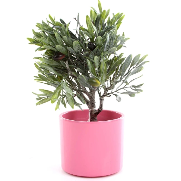 Era 19/17 osłonka walec różowa