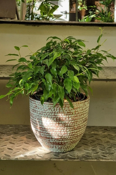 Carrie 35/32 duża ceramiczna osłonka miedziana