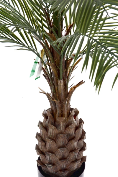 Sztuczna Palma gruby pień 150 cm Weatherproof UV