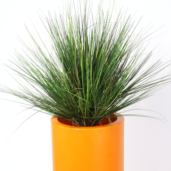 Sztuczna trawa ozdobna Onion 50 cm