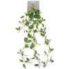 Sztuczna Peperomia pnącze 85 cm
