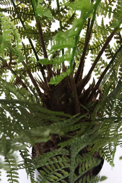 Sztuczna paproć drzewiasta Dicksonia 115 cm 21 liści