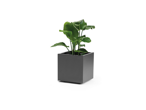 Kebe Quadro 40x40/40 donica na kółkach kwadratowa antracytowa