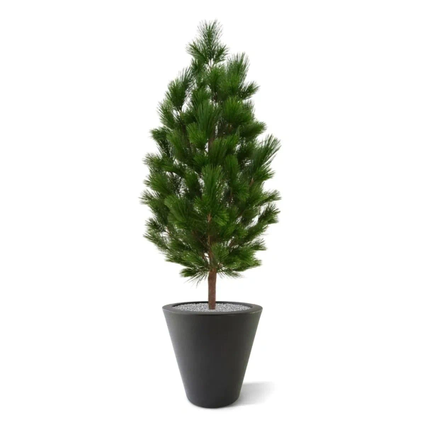 Sztuczna Sosna Pinus XL 130 cm UV