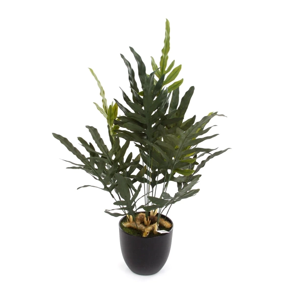 Sztuczna paproć blue fern phlebodium 53 cm w doniczce