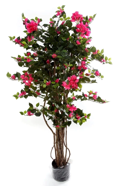 Sztuczna Bugenwilla z różowymi kwiatami 150 cm drewniany pień