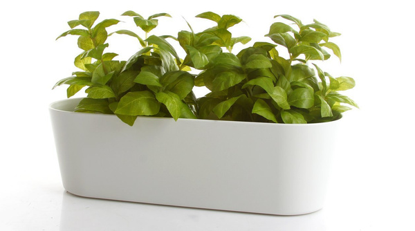 Flori 36x14/11 cm biała doniczka podłużna na parapet